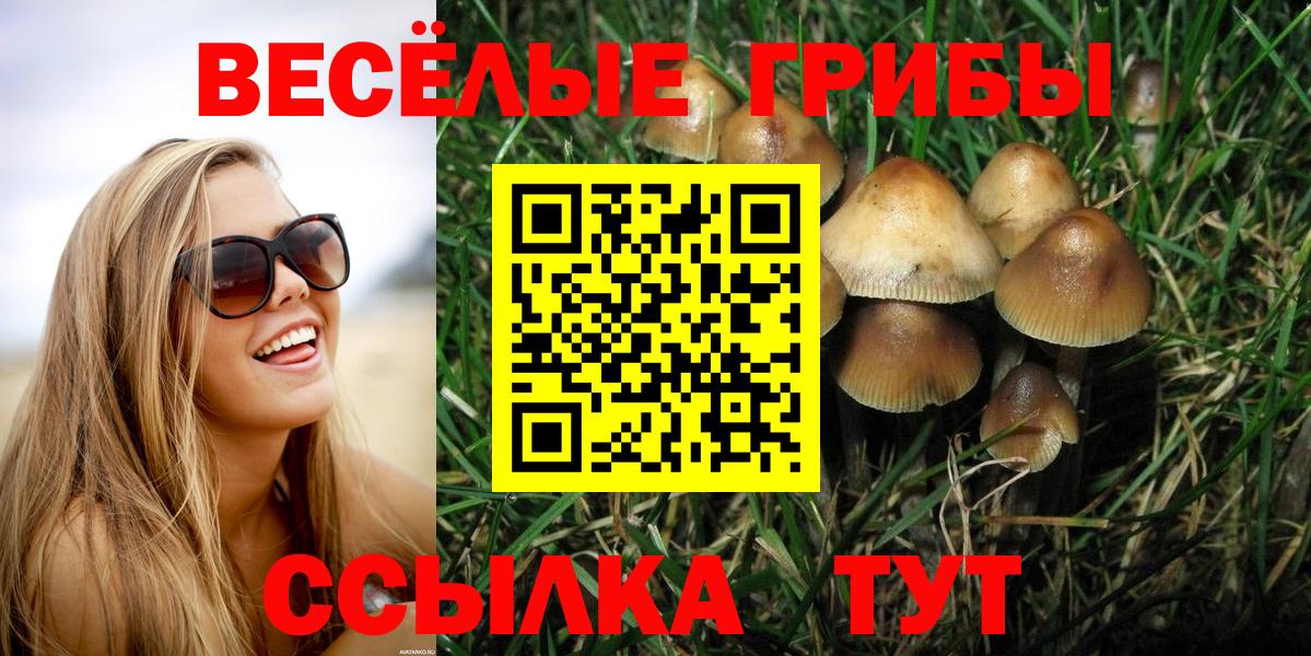 Псилоцибиновые грибы мухоморы  дарнет шоп  Абинск  Вход с VPN 